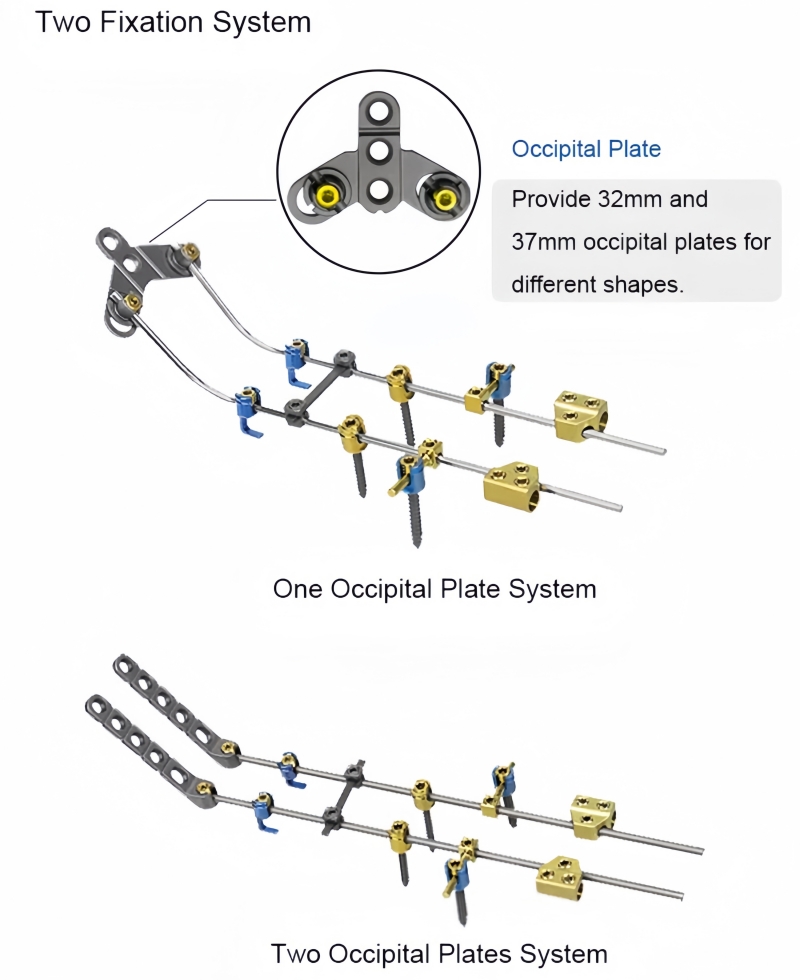 Posterior Cervical Screw System -CnOrtho