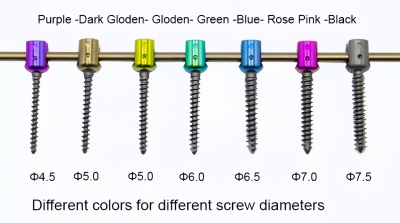 6.0 Spinal Pedicle Screw System-CnOrtho