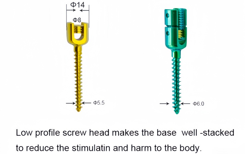 6.0 Spinal Pedicle Screw System-CnOrtho