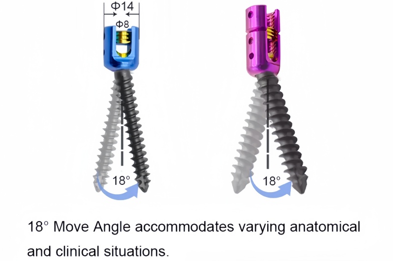 6.0 Spinal Pedicle Screw System-CnOrtho