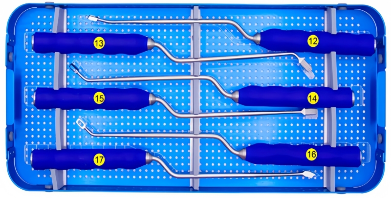 T-PAL Peek Cage Instrument Set-CnOrtho