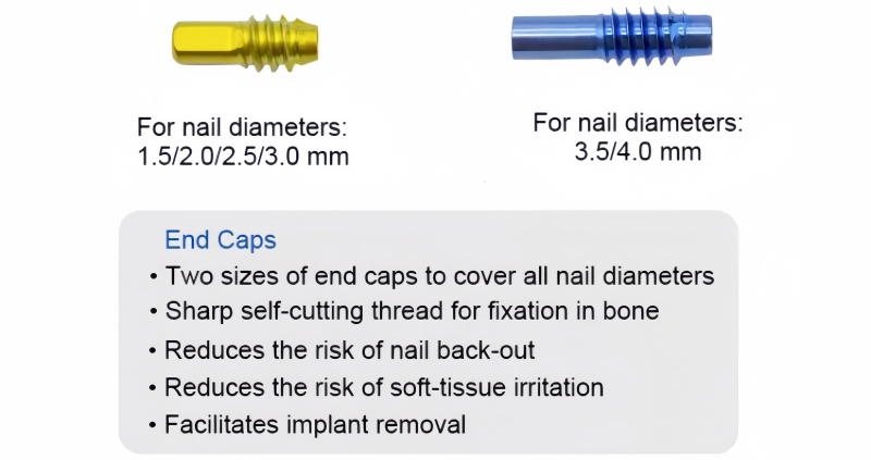 Titanium Elastic Nail-CnOrtho