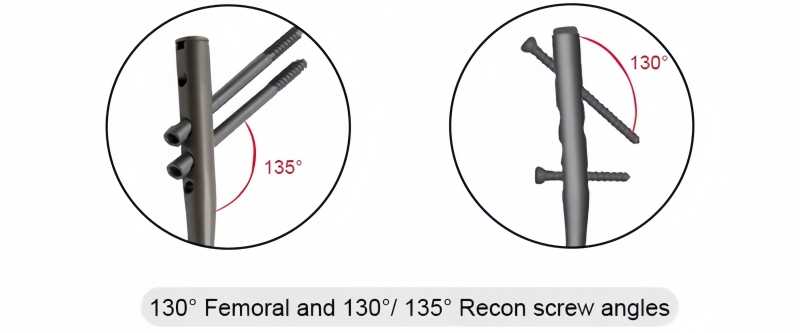 Expert Femoral Nail-CnOrtho