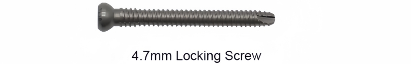 Expert Femoral Nail-CnOrtho