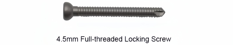 Reversed Femoral Nail-CnOrtho